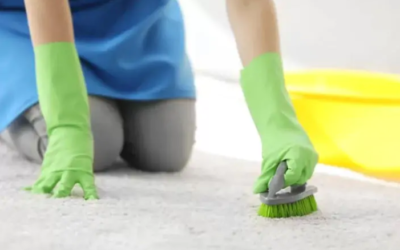 Drying a Wet Carpet